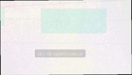 主客场数据对比的抽象条形图，主队与客队分别使用不同色彩